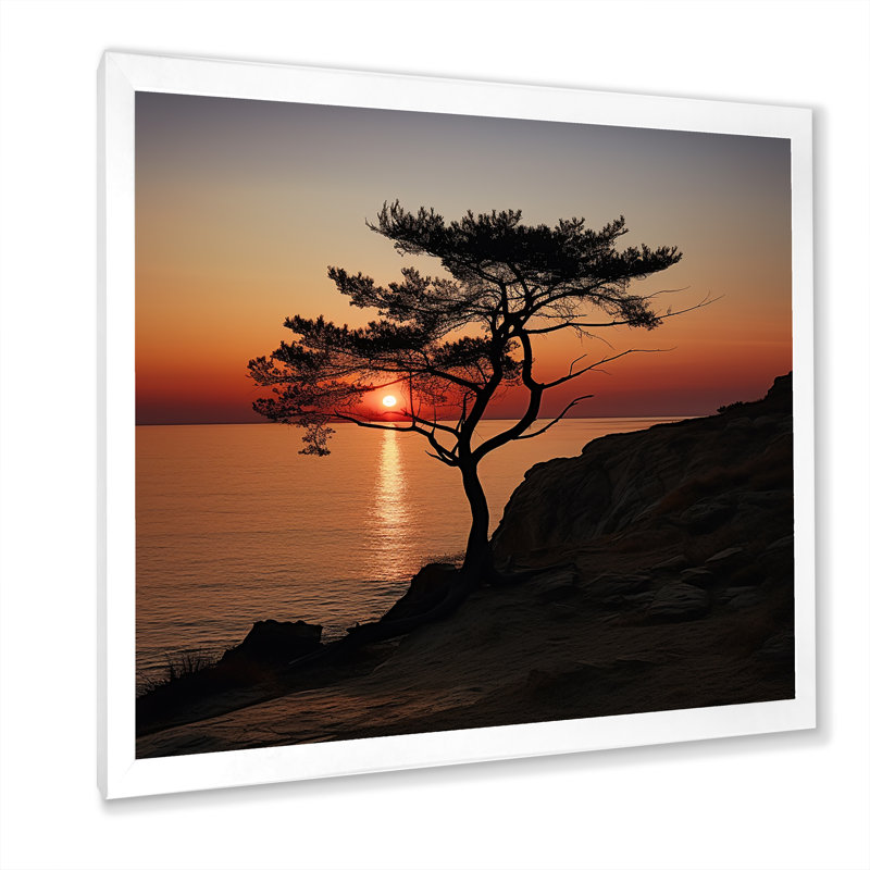«Coastal Tree Panorama I», reproduction sur toile, H 24 po x l 24 po x P 1 po, Cadre simple blanc