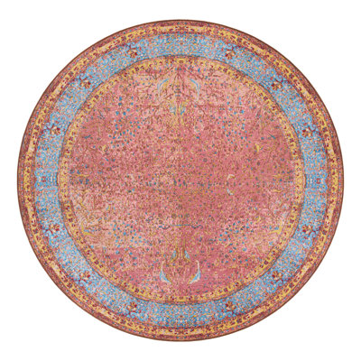 Indoor/Outdoor Traditional Area Rug
