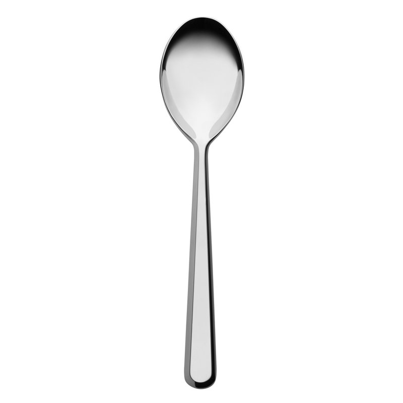 Amici Stainless Steel Dinner Spoon