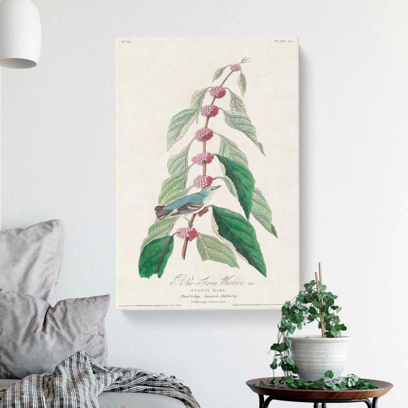 Blue-green Warbler Bird by John James Audubon - Wrapped Canvas, 60cm H x 40cm W x 3cm D