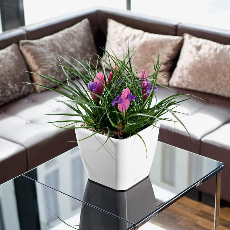Quadro Premium Pot Planter, 20cm H x 21cm W x 21cm D, White