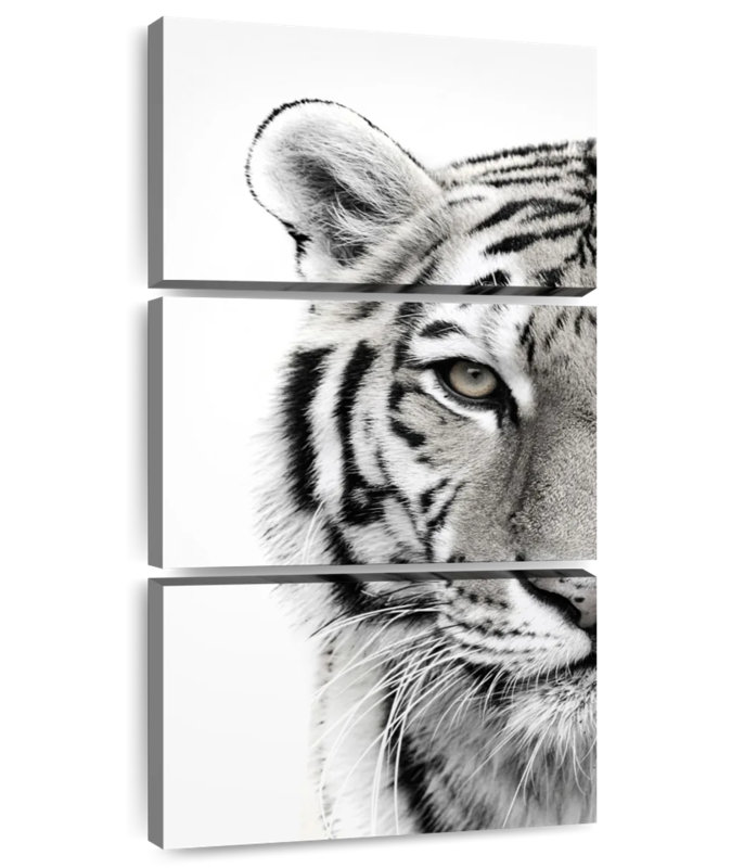 Aspect de tigre, H 32 po x l 15 po