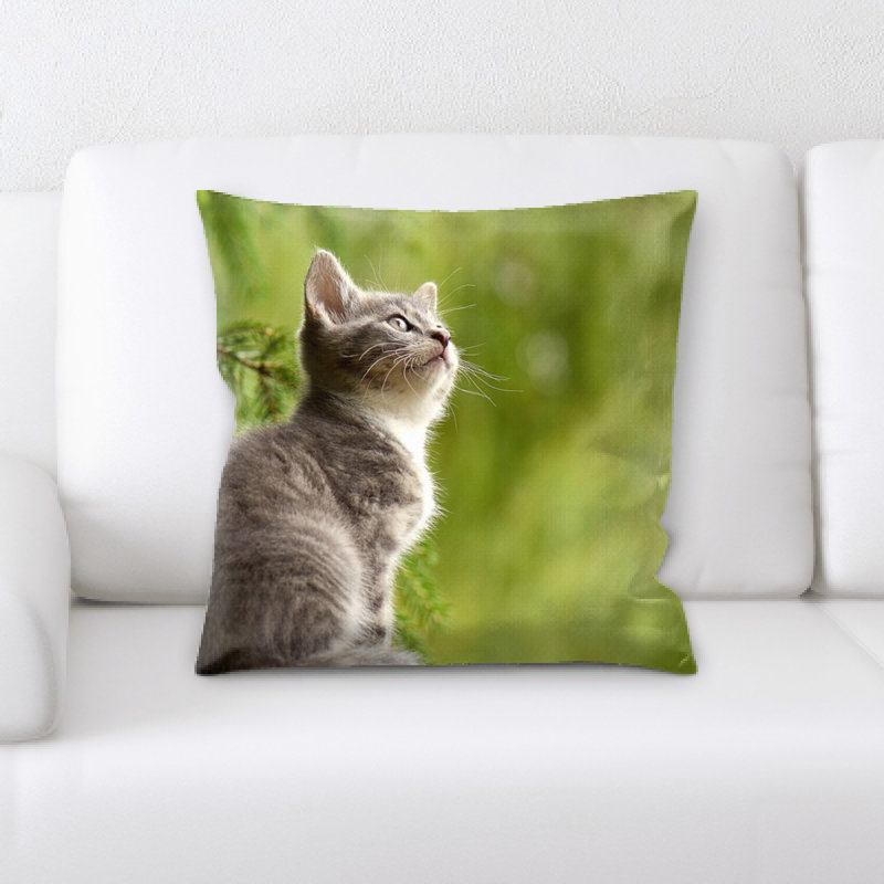 Coussin pour chat
