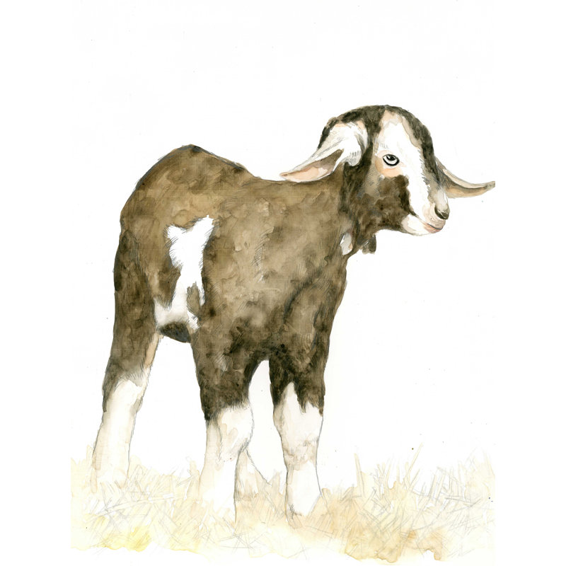 " The Goat ", 32" H x 24" W