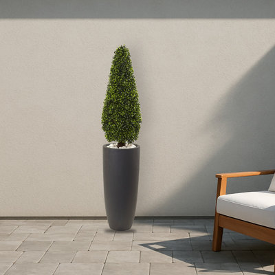Boxwood Topiary with Gray Cylinder Planter