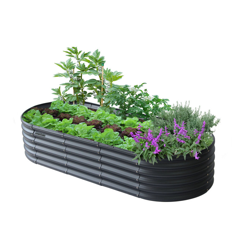 Lit de jardin surélevé en métal pour l'extérieur, Gris anthracite