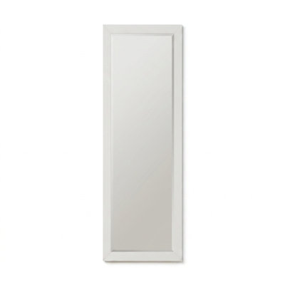 Ovea 16" x 41" Accent Mirror