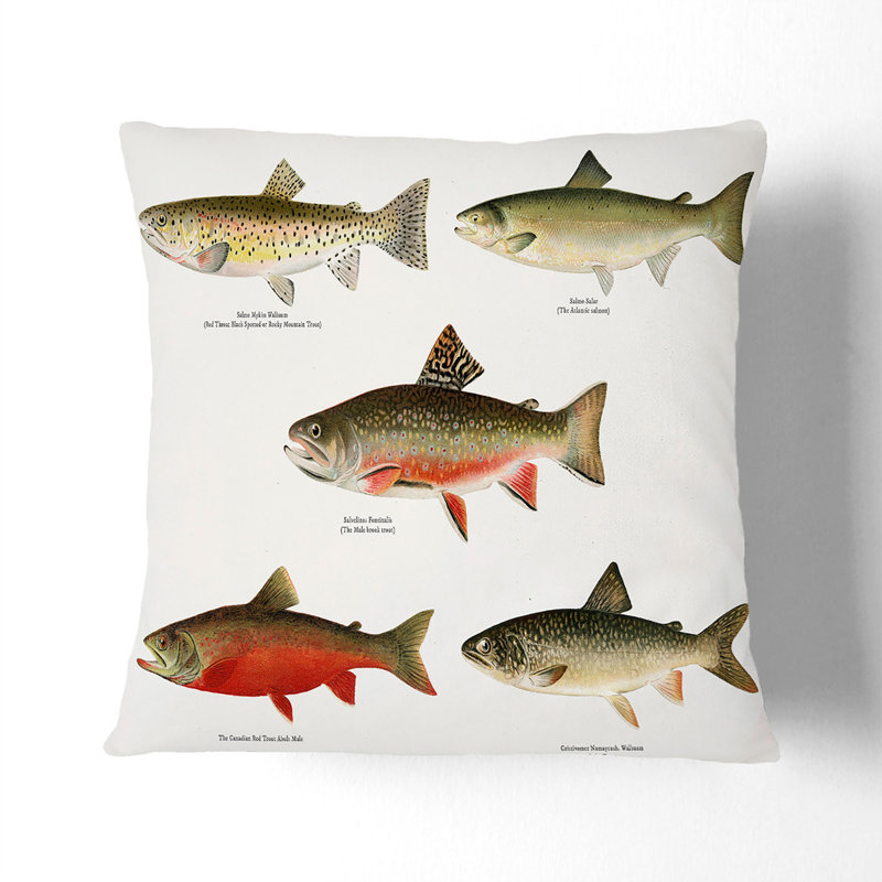 Square Throw Cushion, 40cm H x 40cm W x 15cm D