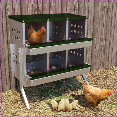 6 Compartment Chicken Nesting Box - Heavy Duty Metal Coop with Roll Away Egg Collection, Perch, Lid Cover for Egg Protection - Wall Mount/Free Standing Nest Box for Chickens, Hens, Ducks