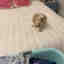 Photos des clients 1 de 1