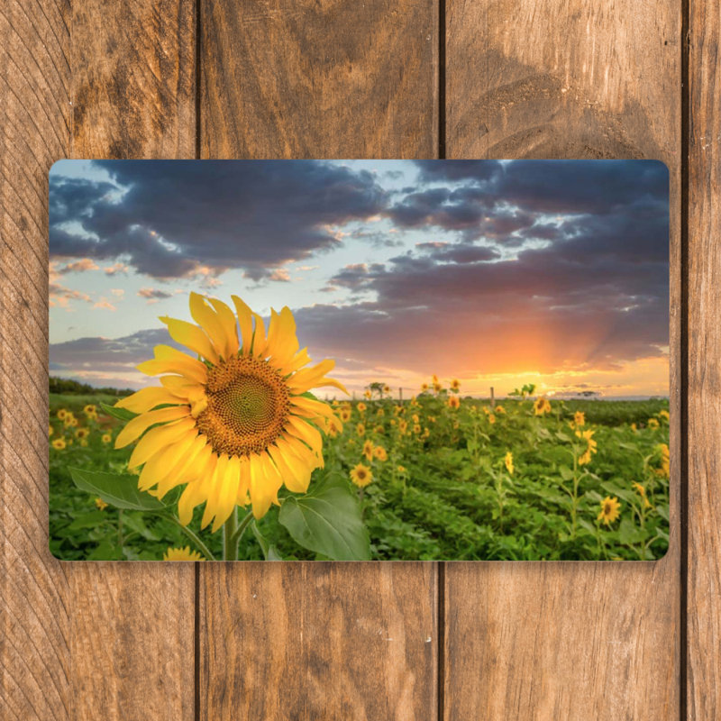 Polypropylene Plastic Floral Rectangle Placemat