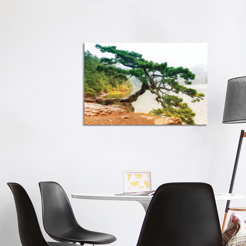 Orcas Pine B 1 Piece Wrapped Canvas Wall Art, 66.04cm H x 101.6cm W