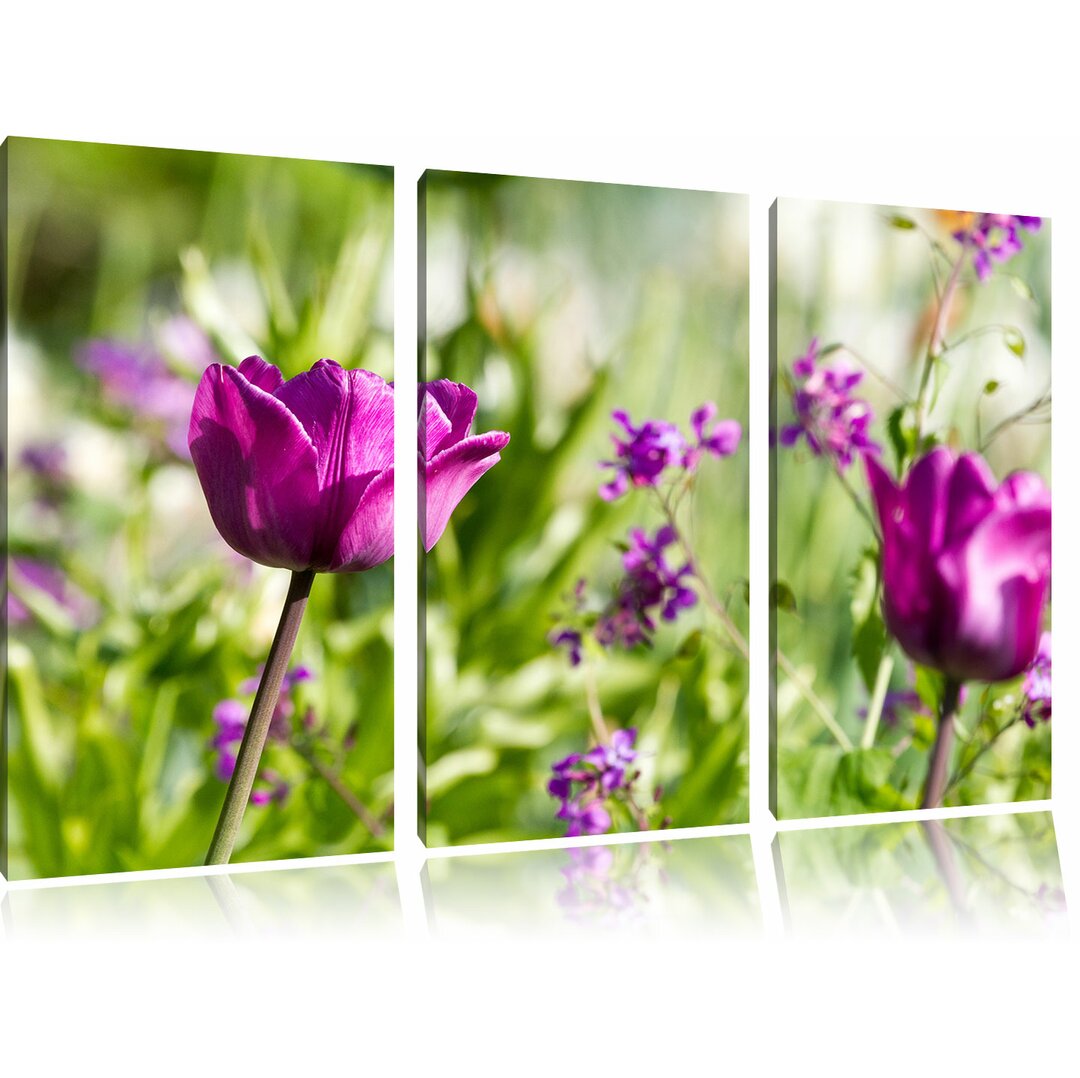 3-tlg. Leinwandbilder-Set Blumen im Sonnenschein, Fotodruck