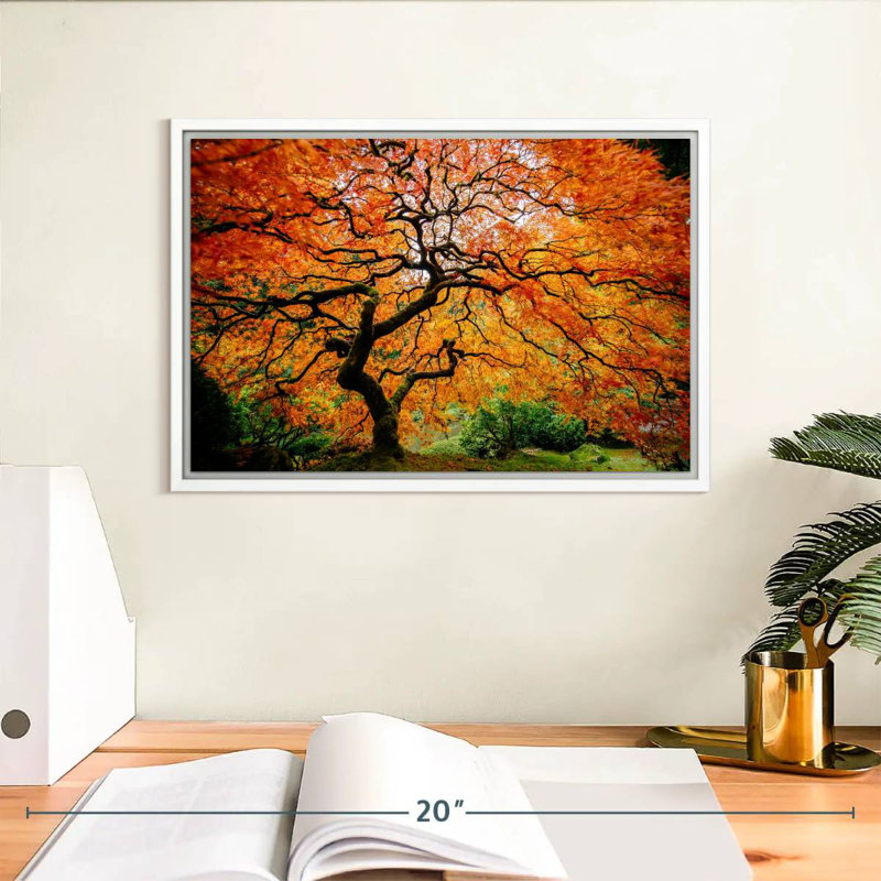 Automne érable japonais, Cadre flottant blanc, 13 po x 9 po