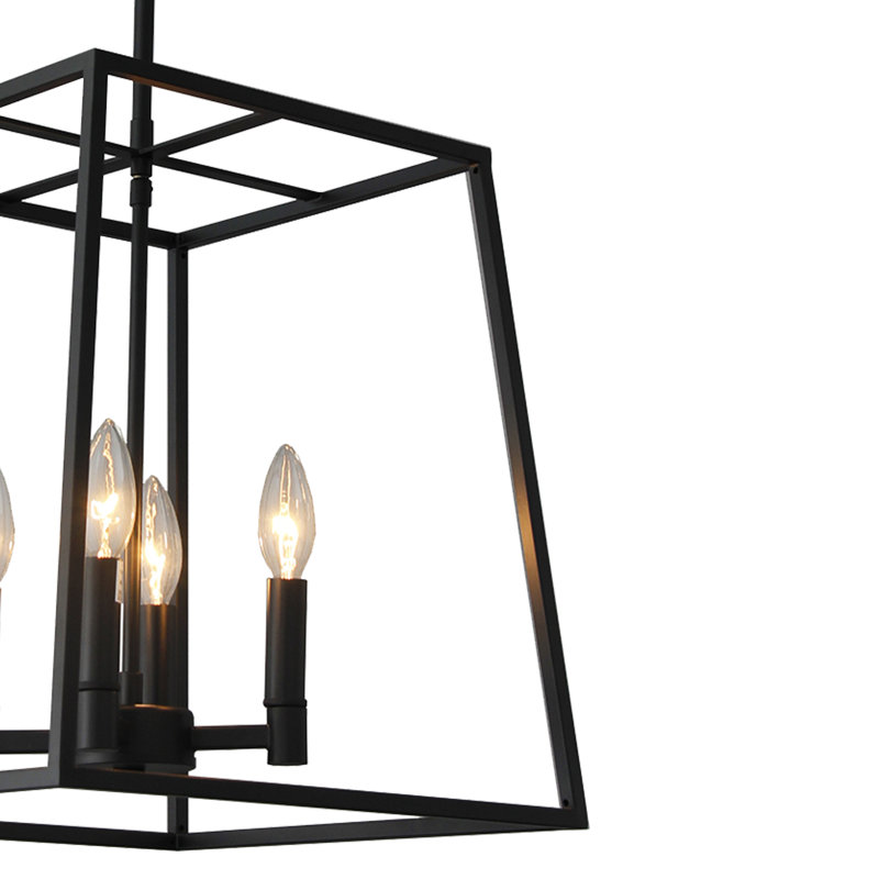 4 Light Caged Chandelier In Matte Black Finish