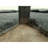 Non-Slip Hall Carpet, Dark Grey, 31.5 x 59.1 inches | 100% Polyester, Pile Height: 0.8 inches | Antibacterial, Anti-Allergenic, Antistatic, Machine Washable at 86°F | Perfect for Entryways & High Traffic Areas-494590925