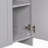 Accent Chests / Cabinets Accent Cabinet-100883221