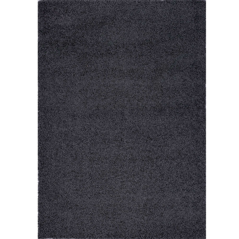 Tapis gris anthracite Prouty, Rectangle 5 pi 3 po x 7 pi 7 po