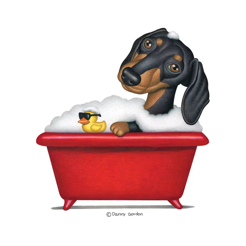 «Black Dachshund in Red Tub» par Danny Gordon - impression d'art graphique, Pas de tapis, Toile tendue