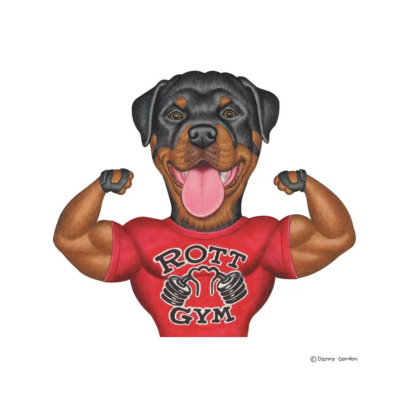 Rottweiler chamois, H 12 po x l 12 po x P 0,75 po