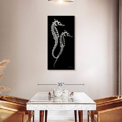 Sea Horse Xray
