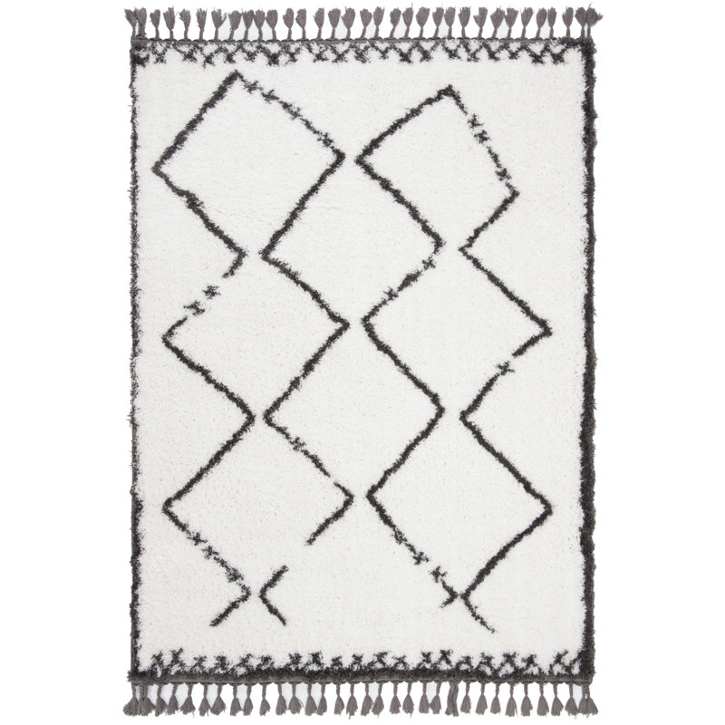 Tapis à poils longs Allon, Rectangle 4 pi x 6 pi