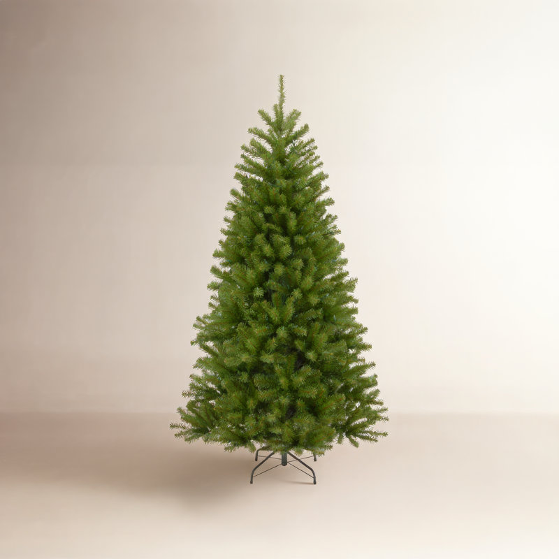Camron North Valley Spruce Tree, 7.5 FT