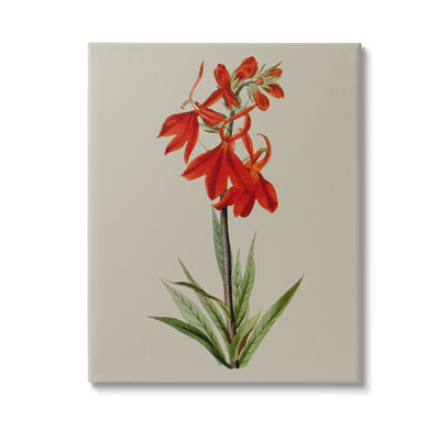 Traditional Blossom Study Canvas Wall Art Design By Vision Studio