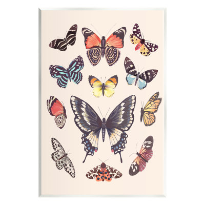 «Cottage Moths And Butterflies On MDF» par Diane Neukirch, reproduction