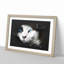 Portrait of a Cat Vol.10 - Picture Frame Graphic Art-62804120-62804124