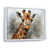 White Floater Framed