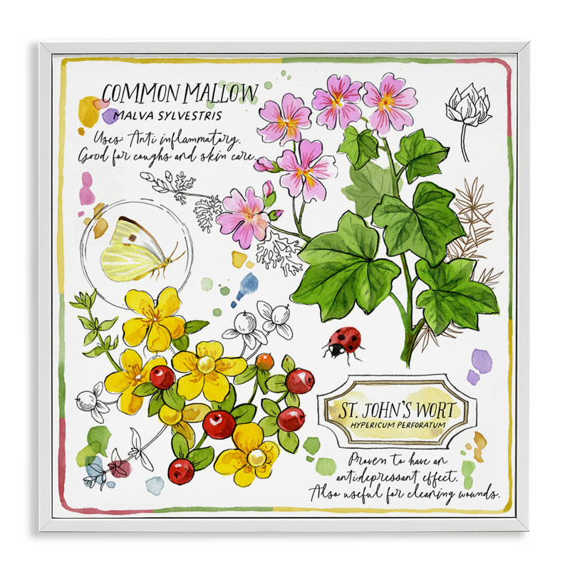 «Wild Herbs Avantages», estampe numérique encadrée de Jane Maday, H 17 po x l 17 po, Giclée encadrée blanc bord de mer