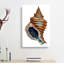 Seashell by George Shaw - Wrapped Canvas-55330579