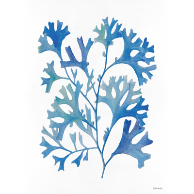 Corail 2 sur toile par Stellar Design Studio