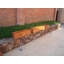 Jardinières en pot-23054001-23056325