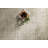 Marlia Mist / Gold Area Rug-1515908797