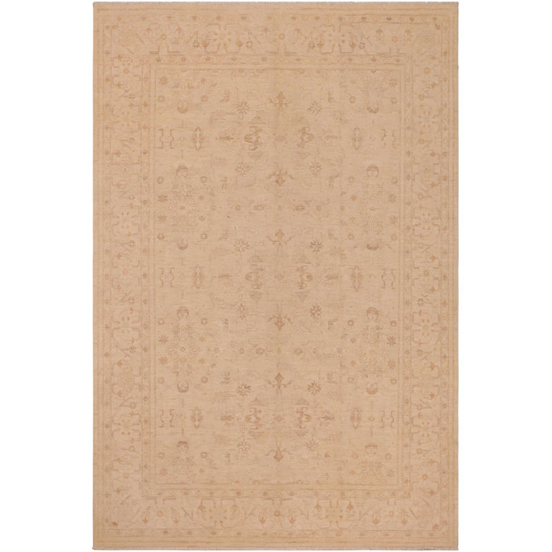 Tapis oriental brun clair en laine noué à la main 8 pi 9 po x 12 pi Oriental