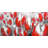 Abstract Red Tulips - White Floral Canvas for Home Decor