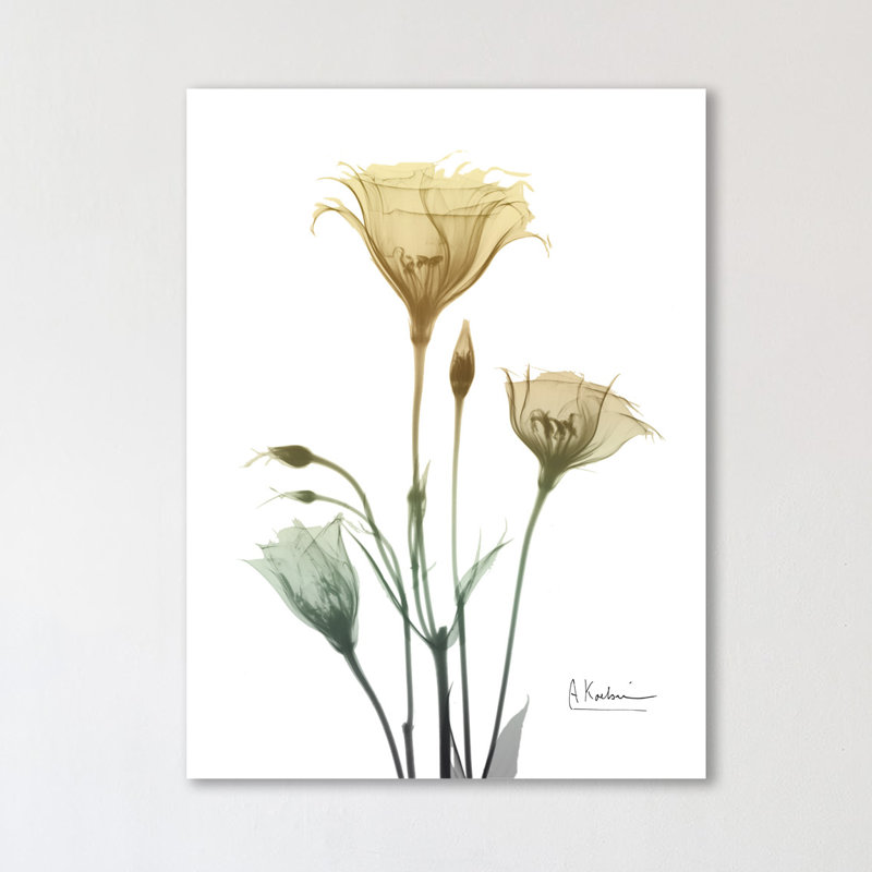 Ocre Bloom 1 - Wrapped Canvas Print, 122 cm H x 91 cm W