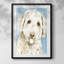 Gossamer II-505096113-505096112-505096115