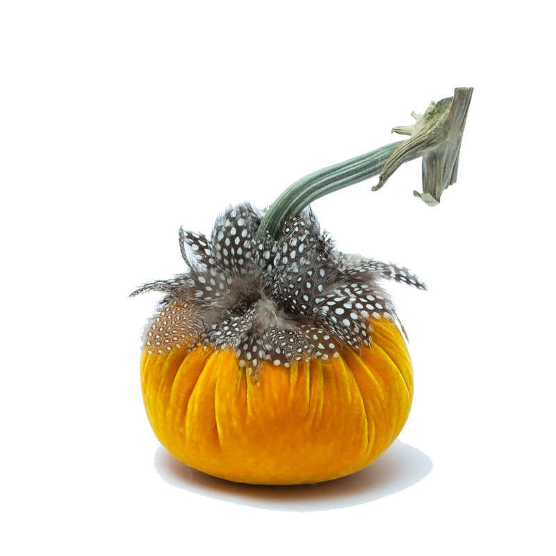 5" Silk Velvet Pumpkin w/Guinea Feather Collar