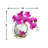 Whisman Orchid Arrangement in Round Glass Vase with Vines-94078647