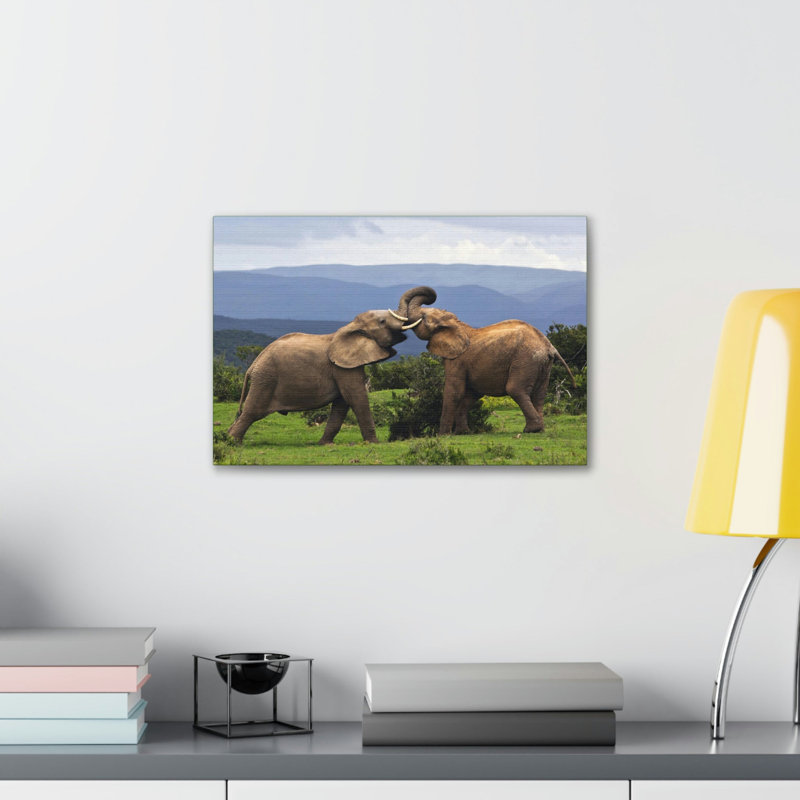 Drôle d'éléphant d'Afrique, H 11 po x l 14 po