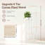 Plant Stand-492472415