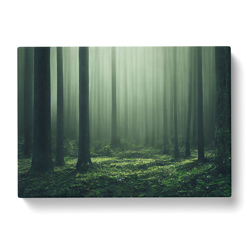 Creative Forest - Wrapped Canvas, 35cm H x 50cm W x 3cm D