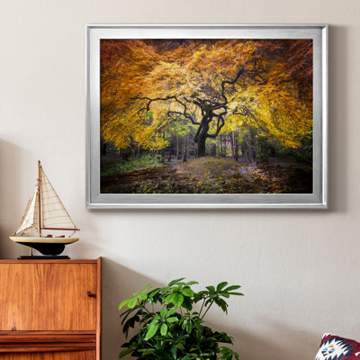 Hidden Jewel - Photographie avec cadre photo