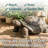 Gospodarczyk 30" Poly-Concrete Outdoor Tortoise Statue