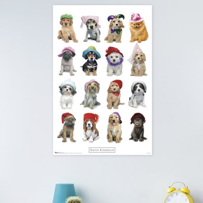 Animals Paper Print