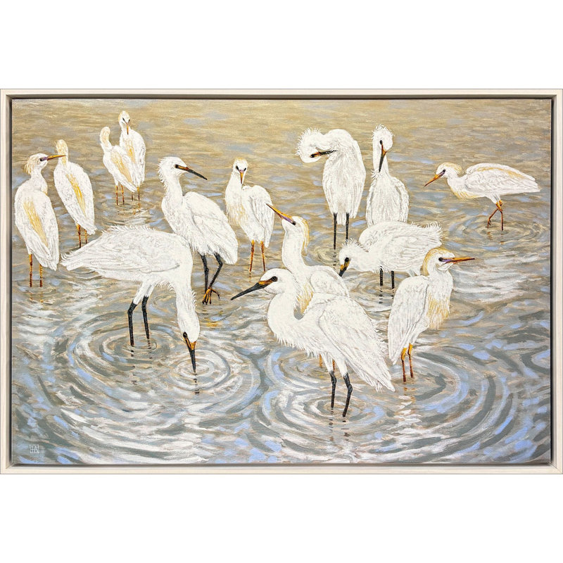 Herons and Egrets Canvas