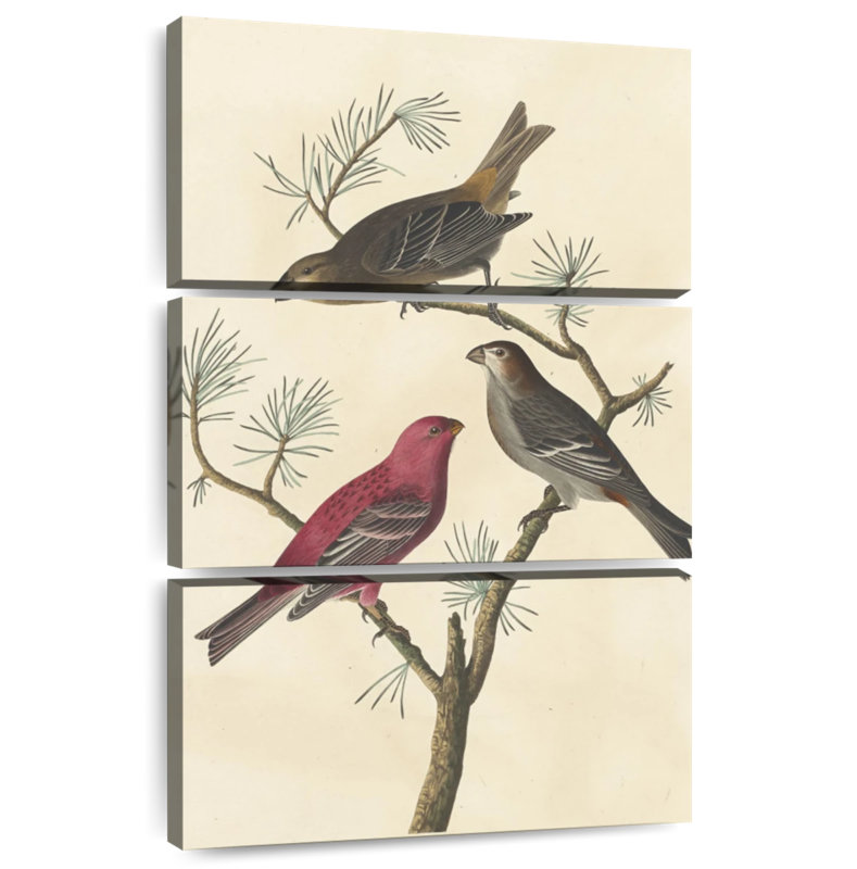 Brampt Pine Grosbeak, 45" H x 28" W